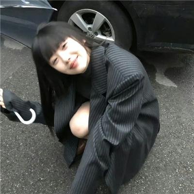 帝企鹅日记